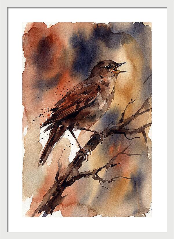 Nightingale Singing At Dusk