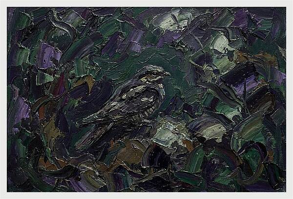 Nightjar Among Lush Foliage