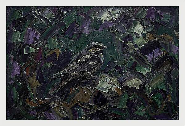 Nightjar Among Lush Foliage