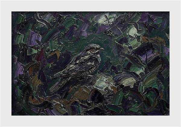 Nightjar Among Lush Foliage