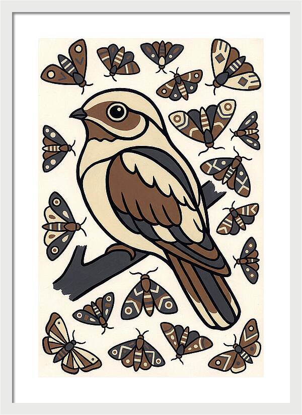 Nightjar Among Moths