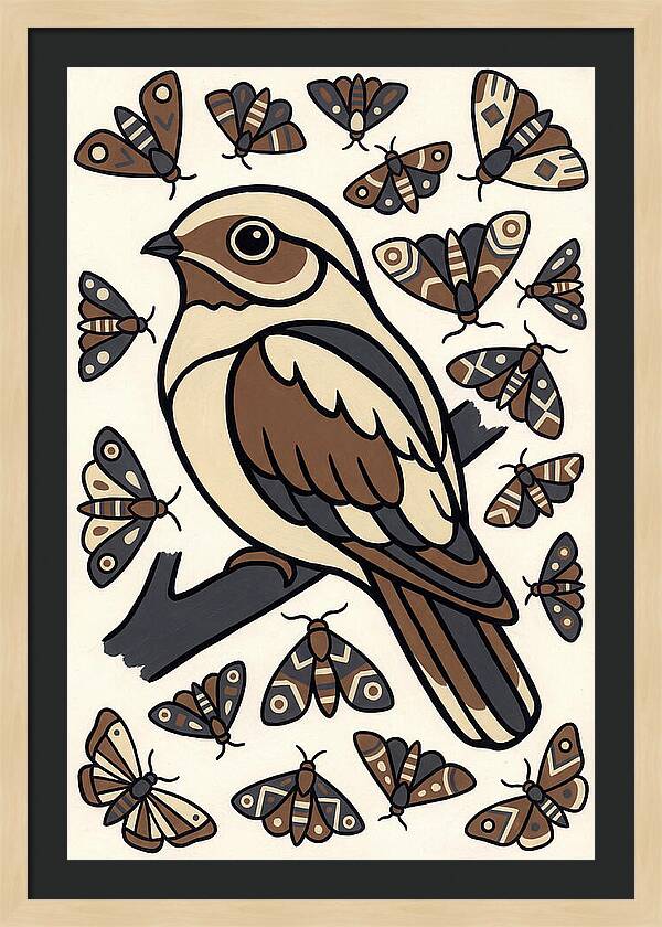 Nightjar Among Moths