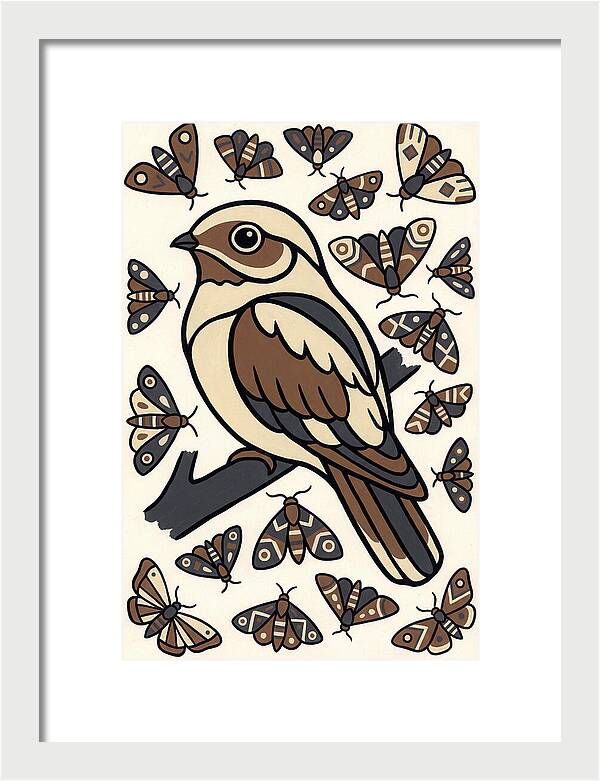 Nightjar Among Moths