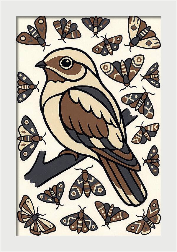 Nightjar Among Moths