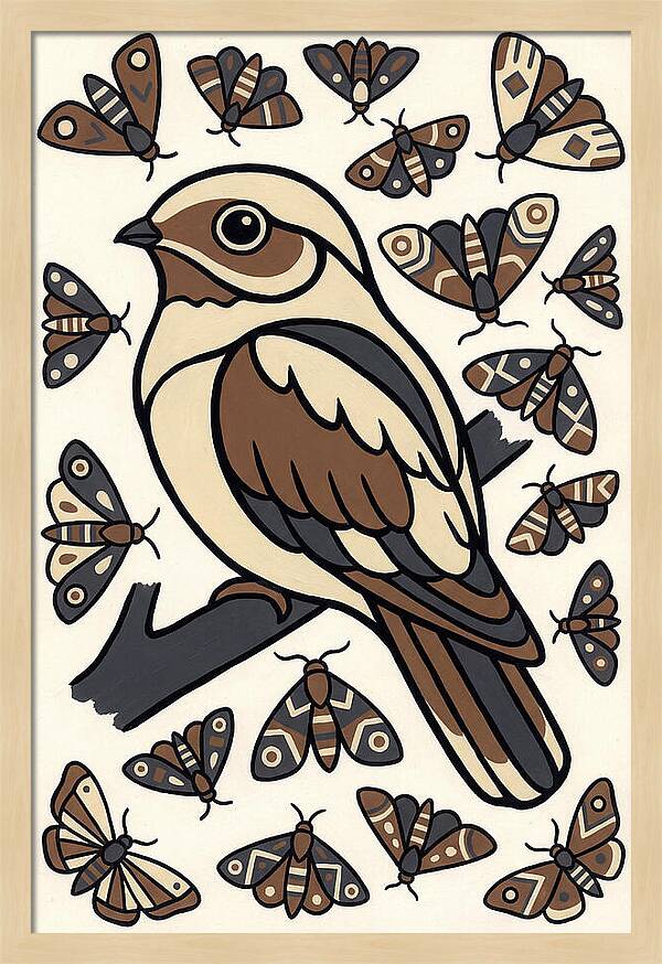Nightjar Among Moths