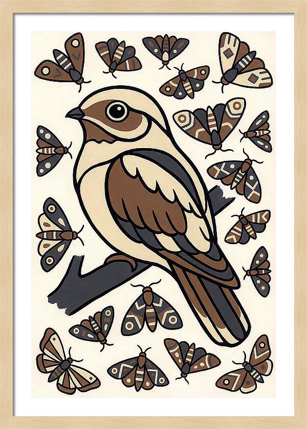 Nightjar Among Moths