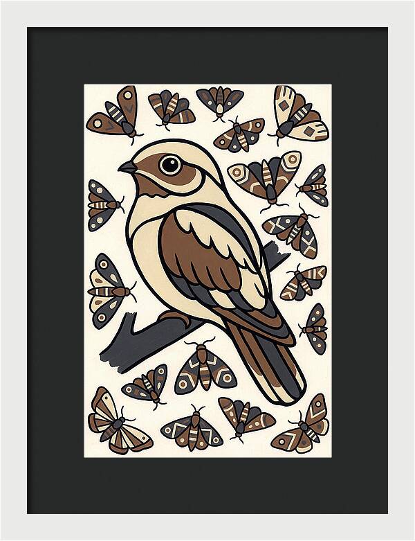 Nightjar Among Moths