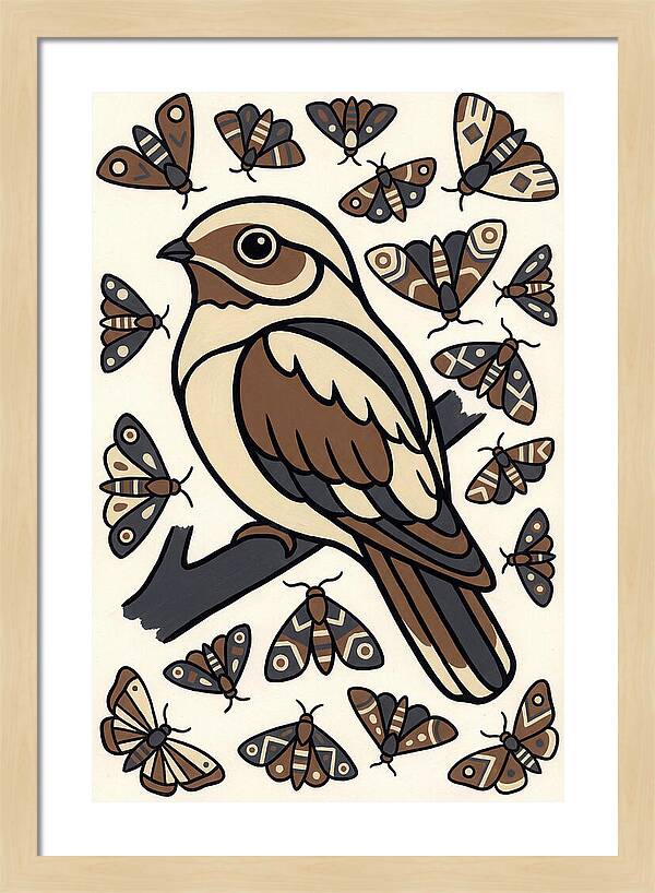 Nightjar Among Moths