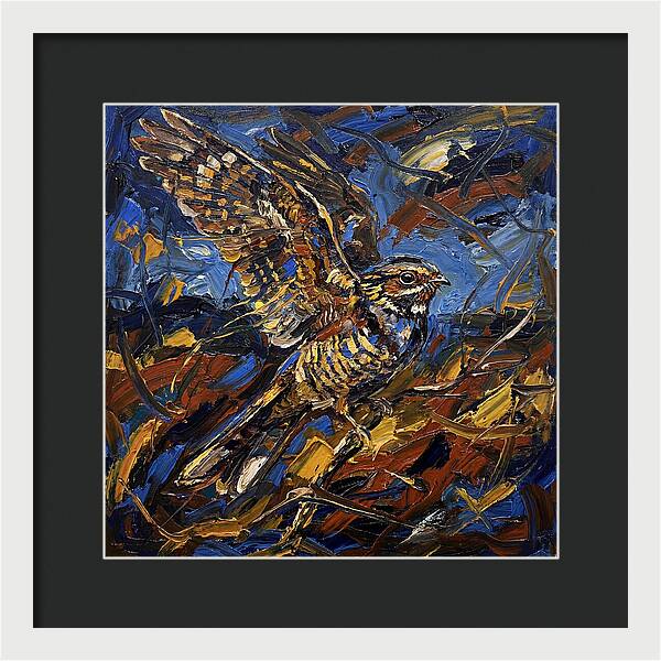 Nightjar In Flight