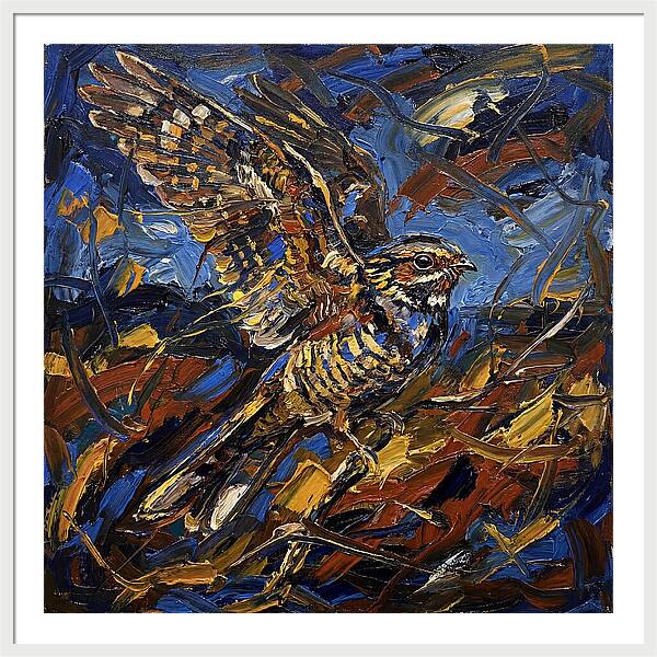 Nightjar In Flight
