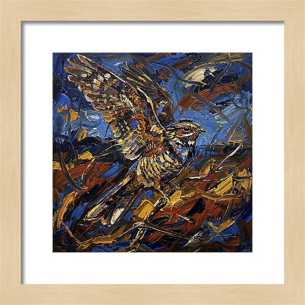 Nightjar In Flight