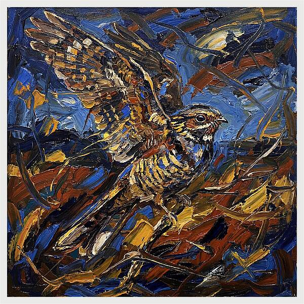 Nightjar In Flight