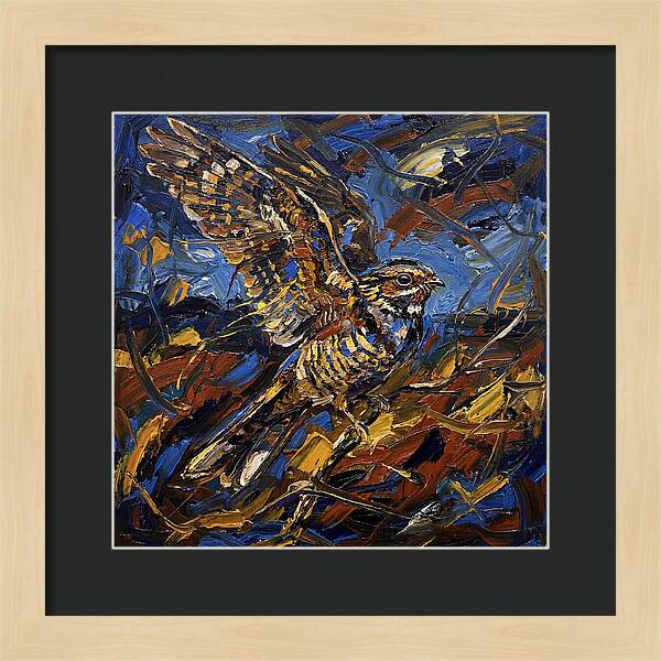 Nightjar In Flight