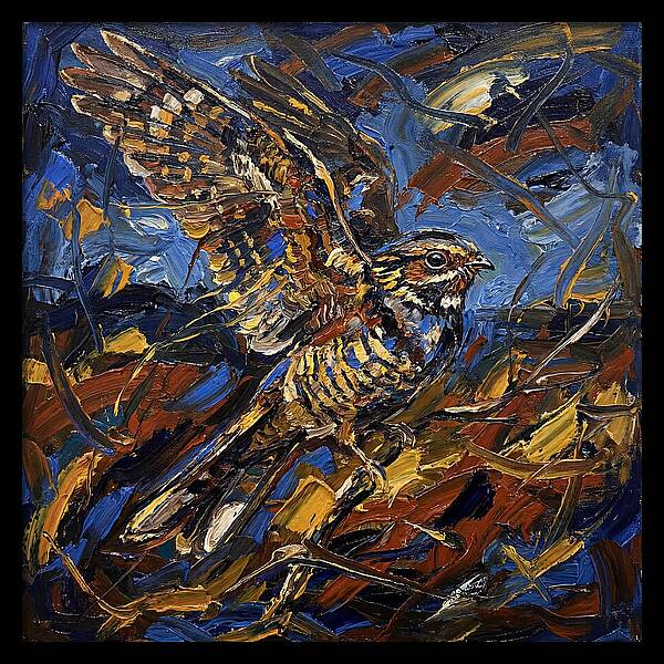 Nightjar In Flight