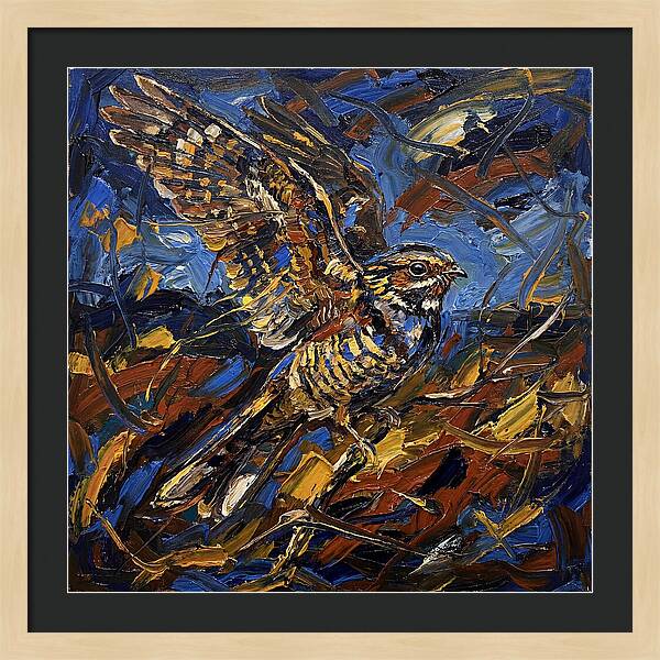 Nightjar In Flight