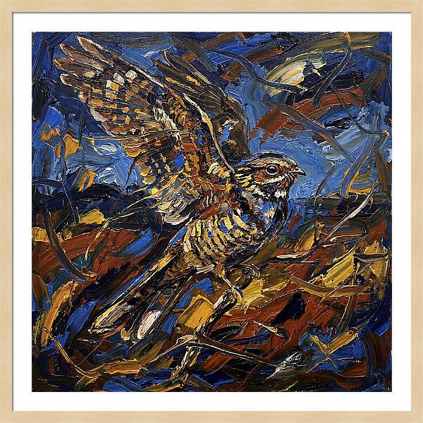 Nightjar In Flight