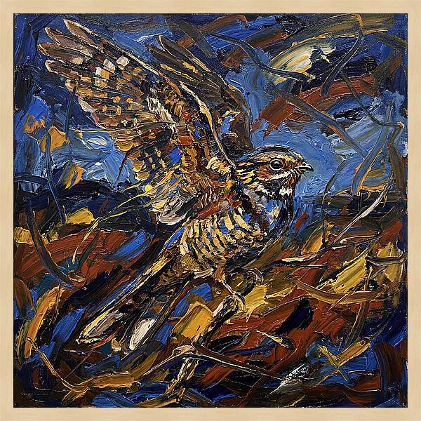 Nightjar In Flight