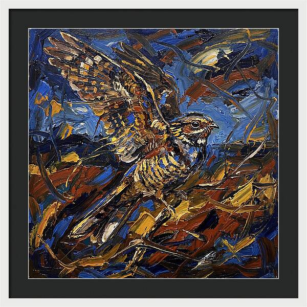 Nightjar In Flight