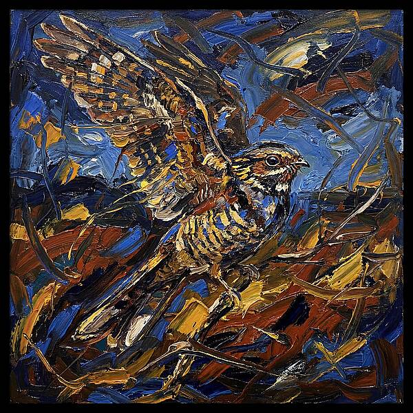 Nightjar In Flight
