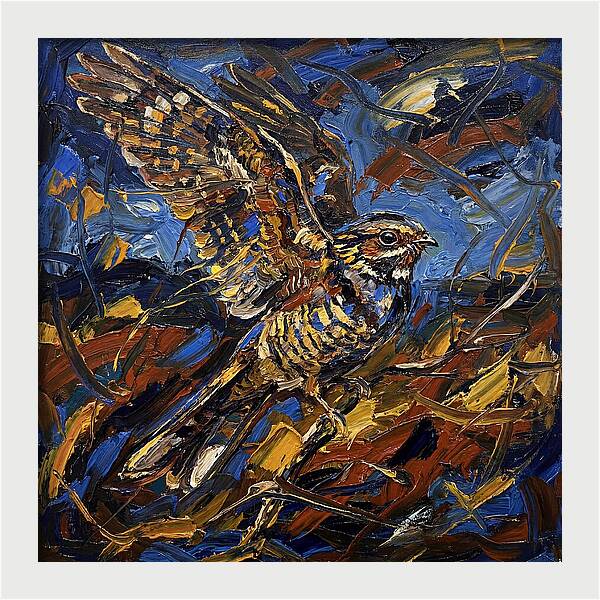 Nightjar In Flight