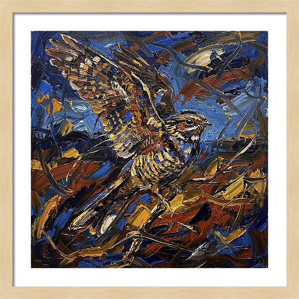 Nightjar In Flight