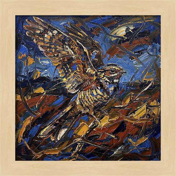 Nightjar In Flight