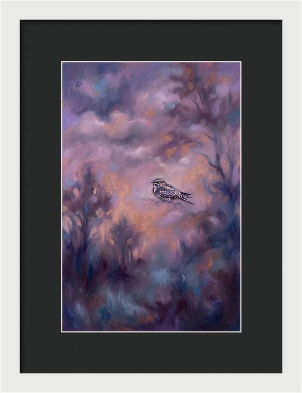 Nightjar In Twilight