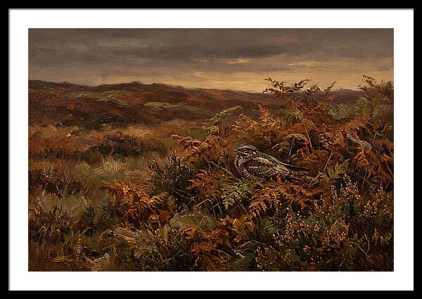 Nightjar Art