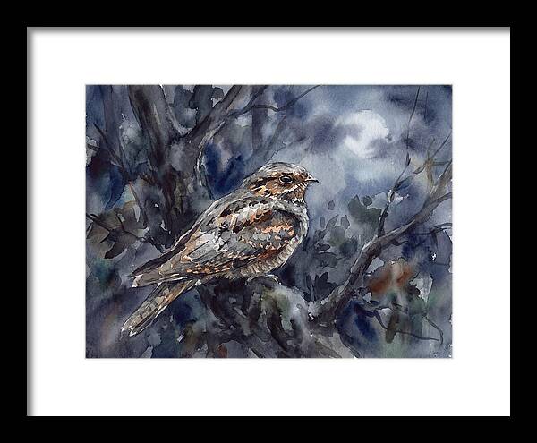 Nightjar Perched In Moonlight