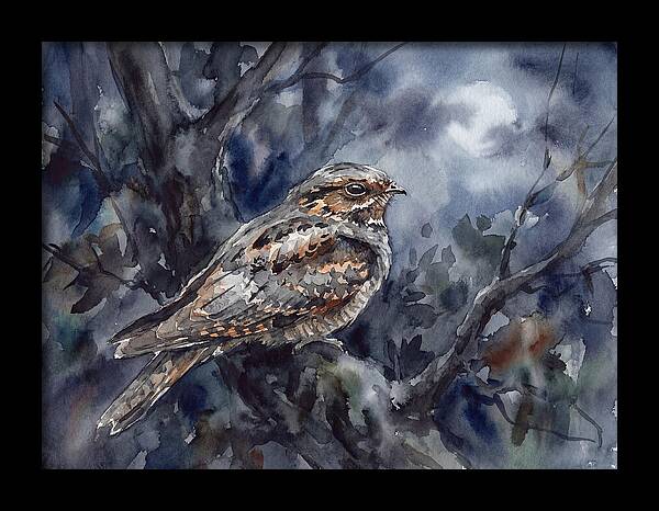 Nightjar Perched In Moonlight