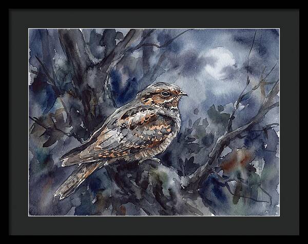 Nightjar Perched In Moonlight