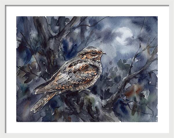 Nightjar Perched In Moonlight