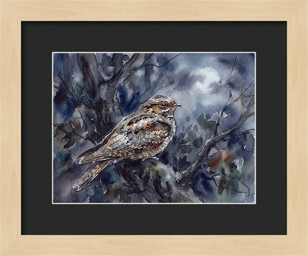 Nightjar Perched In Moonlight