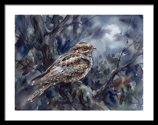 Nightjar Perched In Moonlight