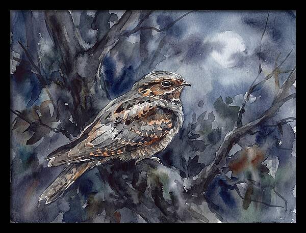 Nightjar Perched In Moonlight
