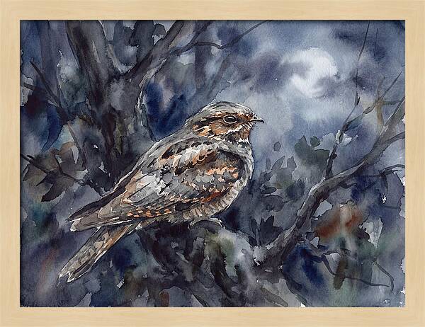 Nightjar Perched In Moonlight