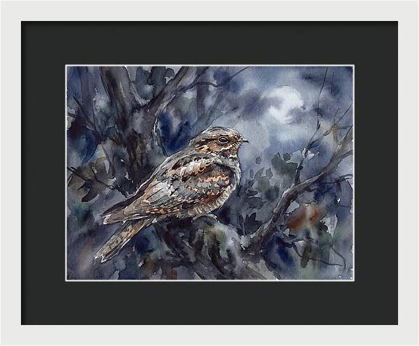 Nightjar Perched In Moonlight