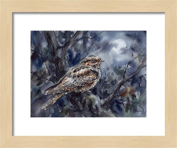 Nightjar Perched In Moonlight