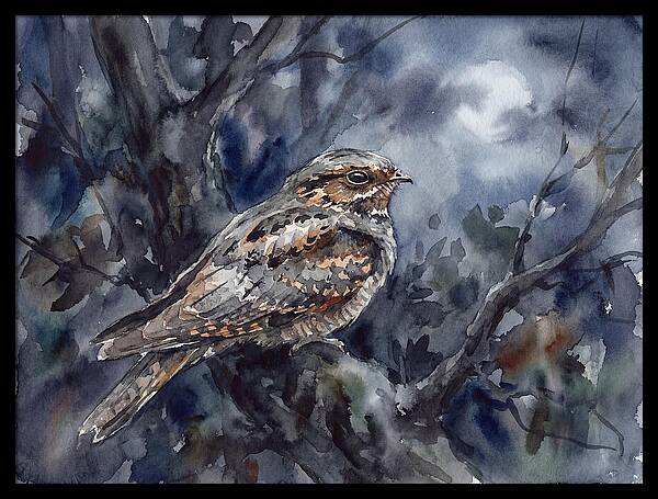 Nightjar Perched In Moonlight