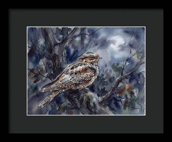 Nightjar Perched In Moonlight