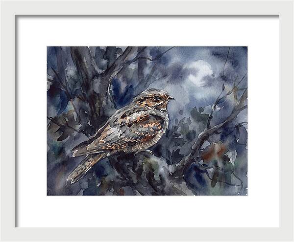 Nightjar Perched In Moonlight
