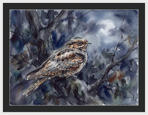 Nightjar Perched In Moonlight