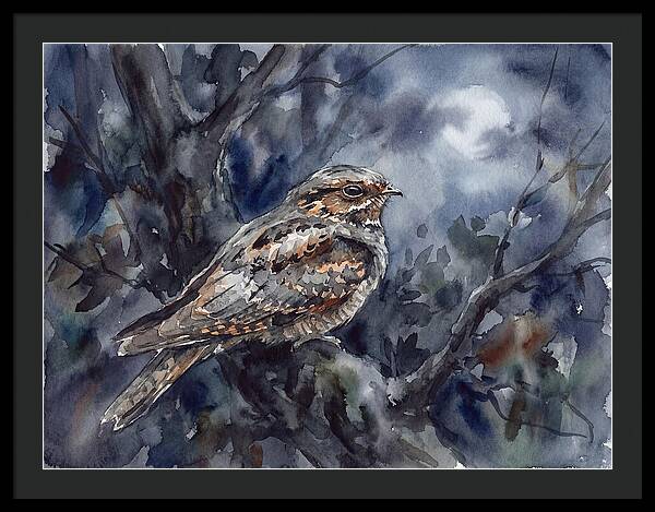 Nightjar Perched In Moonlight