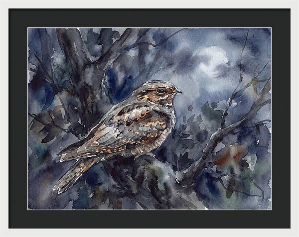 Nightjar Perched In Moonlight