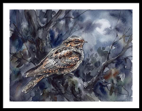 Nightjar Perched In Moonlight