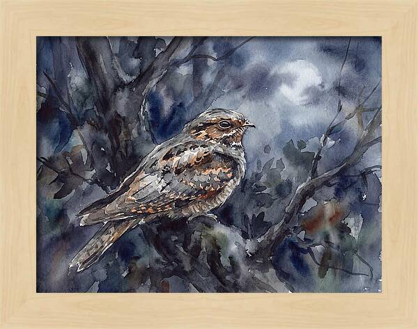 Nightjar Perched In Moonlight