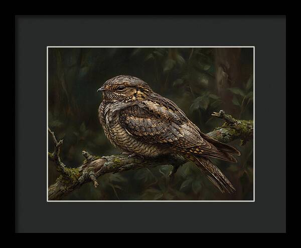 Nightjar Perched In Nature