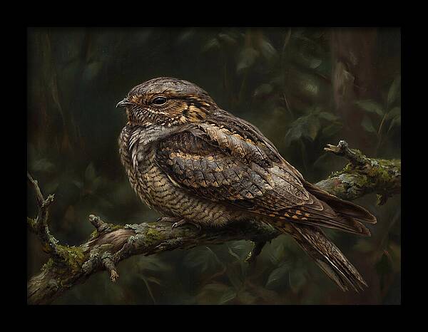 Nightjar Perched In Nature