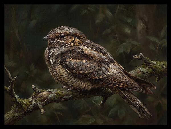Nightjar Perched In Nature
