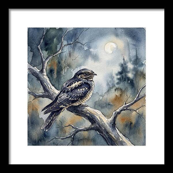 Nightjar Under The Moonlight